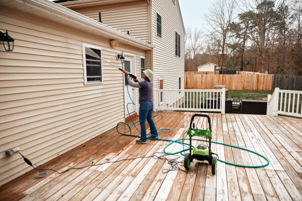 Best Affordable Pressure Washing  in Paynesville, MN