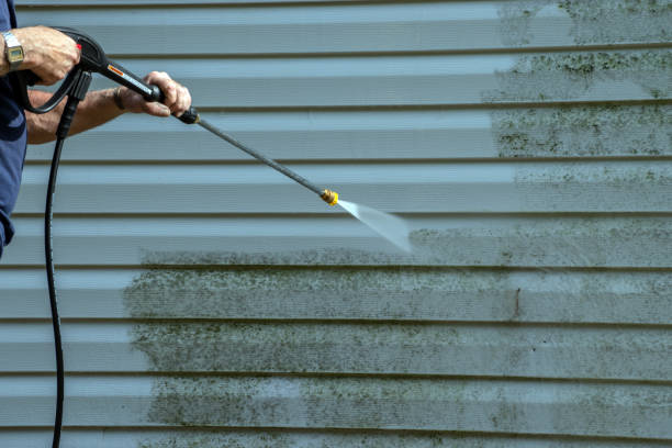 Best Concrete Pressure Washing  in Paynesville, MN
