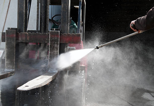 Best Deck Cleaning Services  in Paynesville, MN
