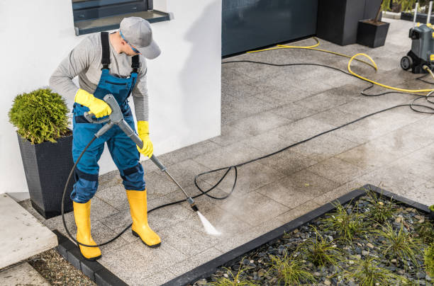 Best Residential Pressure Washing Services  in Paynesville, MN