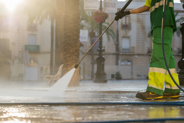 Best Sidewalk Pressure Washing  in Paynesville, MN