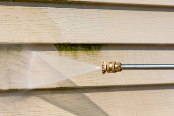 Best Affordable Pressure Washing  in Paynesville, MN