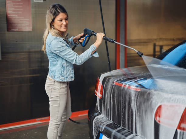 Best House Pressure Washing  in Paynesville, MN
