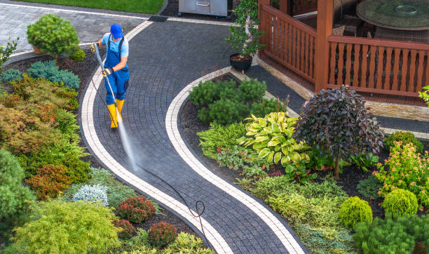 Best Residential Pressure Washing Services  in Paynesville, MN