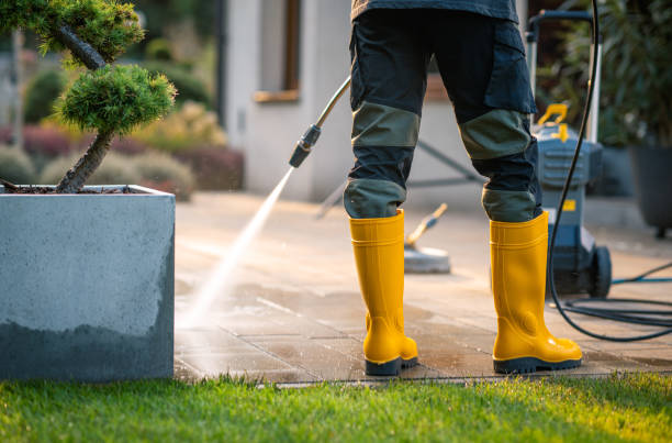 Best Exterior Home Cleaning  in Paynesville, MN